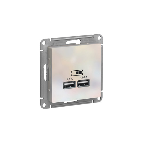 ������� Schneider Electric ATLASDESIGN USB 5� 1���� x 2,1�, 2����� � 1,05�, ��������