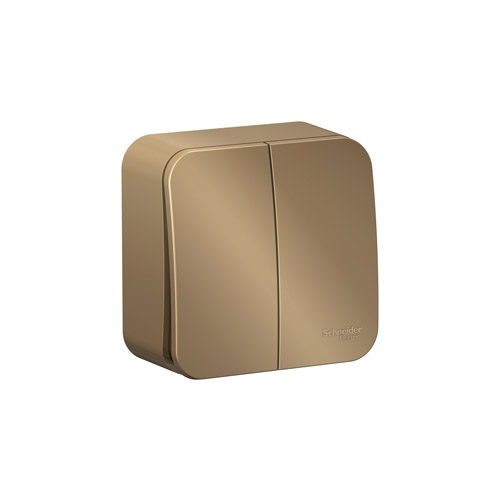 Выключатель двухклавишный Schneider Electric Blanca (схема 5) с изол. пл., 10A, 250B