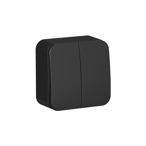 Выключатель двухклавишный Schneider Electric Blanca (схема 5) с изол. пл., 10A, 250B Выключатель двухклавишный Schneider Electric Blanca (схема 5) с изол. пл., 10A, 250B