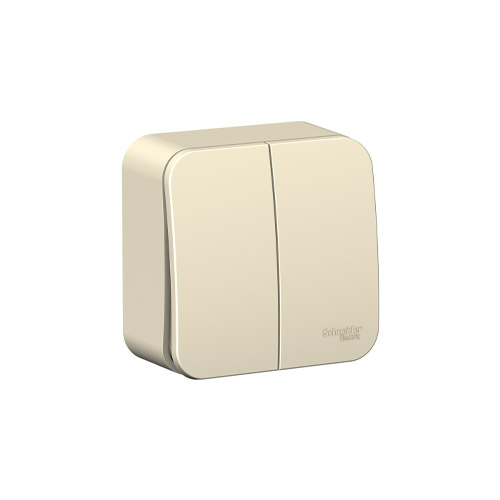 Выключатель двухклавишный Schneider Electric Blanca (схема 5) с изол. пл., 10A, 250B Выключатель двухклавишный Schneider Electric Blanca (схема 5) с изол. пл., 10A, 250B