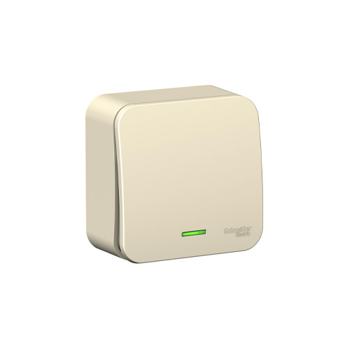 ����������� ������������� Schneider Electric Blanca (����� 1) � ����������, � ����. ��., 6�, 250�