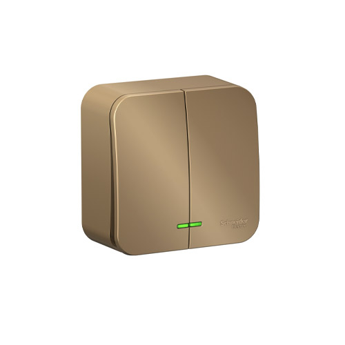 ����������� �������� ������������� Schneider Electric Blanca (c���� 5) � �����������, � ����. ��., 10�, 250�