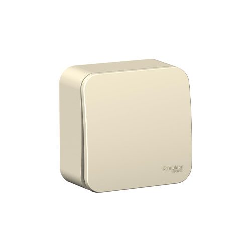 Переключатель одноклавишный Schneider Electric Blanca (схема 6), с изол. пл., 10A, 250B Переключатель одноклавишный Schneider Electric Blanca (схема 6), с изол. пл., 10A, 250B