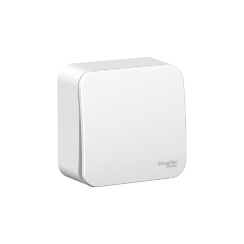 Переключатель одноклавишный Schneider Electric Blanca (схема 6), с изол. пл., 10A, 250B Переключатель одноклавишный Schneider Electric Blanca (схема 6), с изол. пл., 10A, 250B