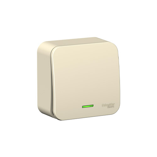 ������������� ������������� Schneider Electric Blanca (����� 6) � ����������, � ����. ��., 10�, 250�