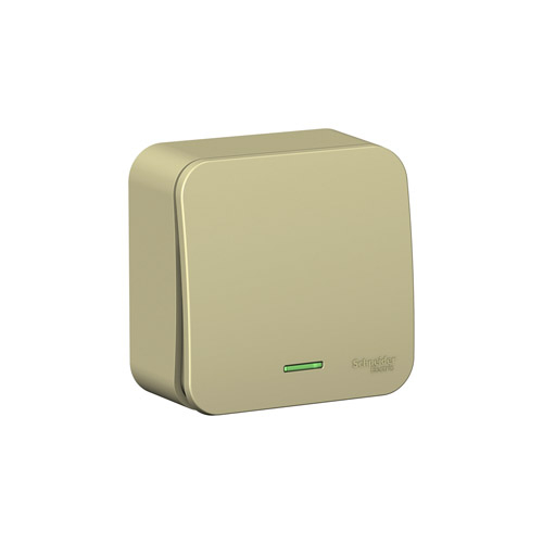 ������������� ������������� Schneider Electric Blanca (����� 6) � ����������, � ����. ��., 10�, 250�