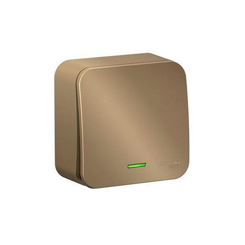 ������������� ������������� Schneider Electric Blanca (����� 6) � ����������, � ����. ��., 10�, 250�